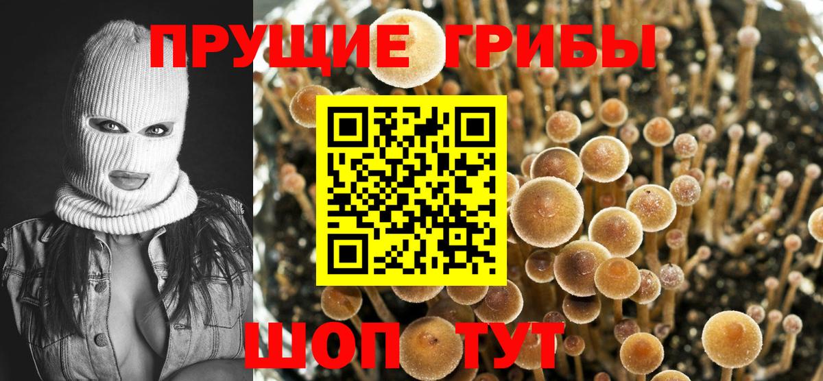 Галлюциногенные грибы мицелий Шали