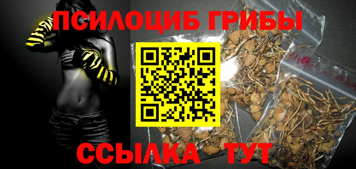 Шали  Галлюциногенные грибы прущие грибы  Вход с VPN  Галлюциногенные грибы MAGIC MUSHROOMS 